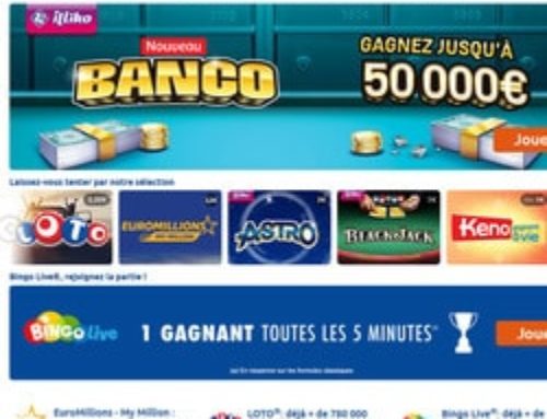 Enquête sur les habitudes des Français en rapport avec les jeux en ligne