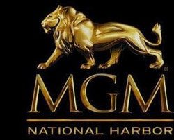 Un croupier de baccarat du MGM Mational Harbor arrete pour escroquerie
