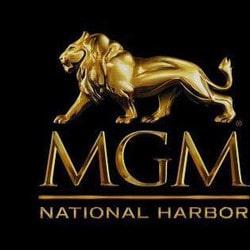 Un croupier de baccarat du MGM Mational Harbor arrete pour escroquerie